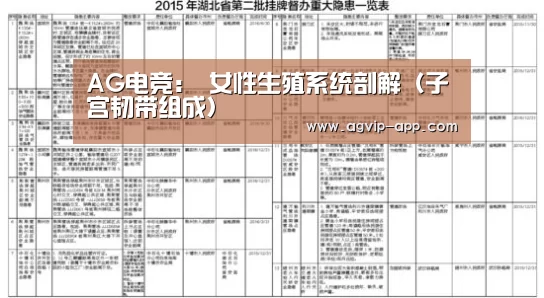 AG电竞:
女性生殖系统剖解(子宫韧带组成)(图2) AG地址