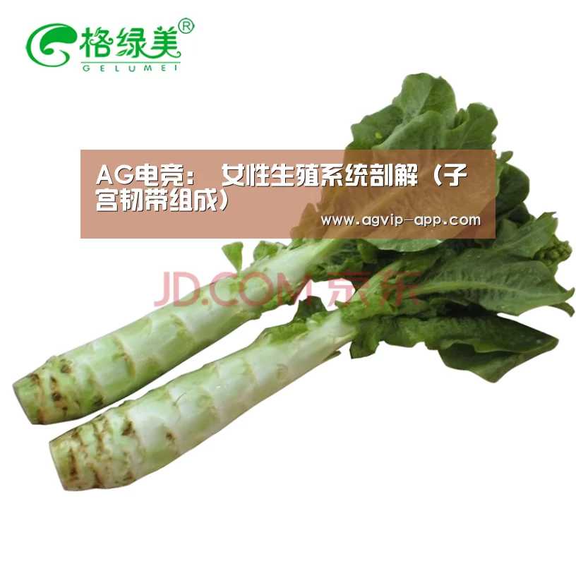 AG电竞:
女性生殖系统剖解(子宫韧带组成)(图1) AG入口