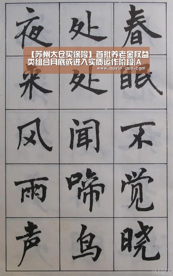 【苏州太仓买保险】首批养老金权益类组合月底或进入实质运作阶段|AG电竞(图1) AG电竞