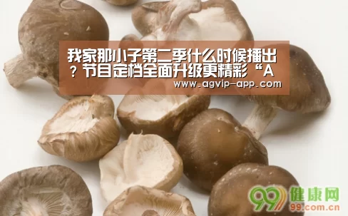 我家那小子第二季什么时候播出?节目定档全面升级更精彩“AG竞猜”(图2) AG地址